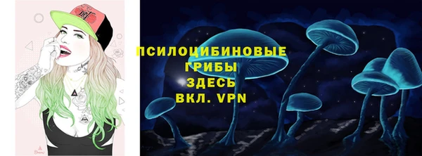 ECSTASY Семилуки